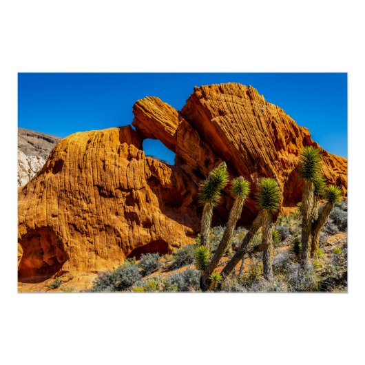 Kissing Turtle Rock Glossy ポスター (正面)