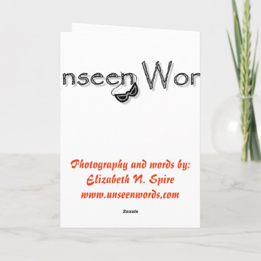 KissMouse 1 シーズンカード (裏面)