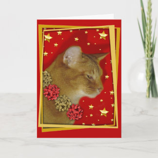 KissMouse 1 シーズンカード