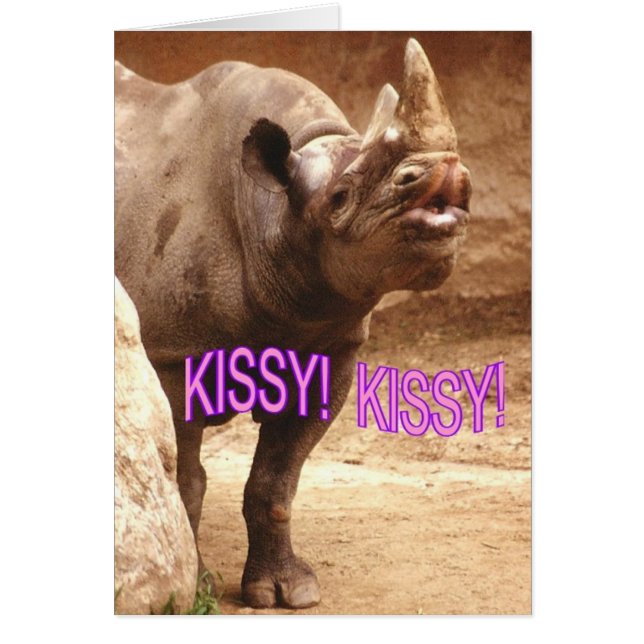 KISSY KISSY (正面)