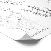 Kitchen Cooking Herbs Rosemary Basil Marjoram  ポスター (角)