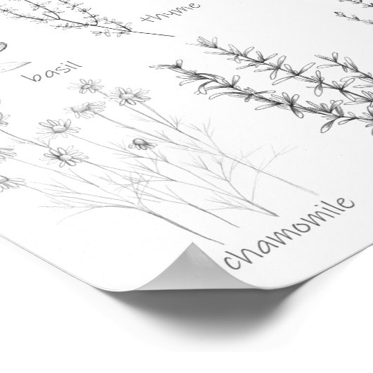 Kitchen Cooking Herbs Rosemary Basil Marjoram  ポスター (角)