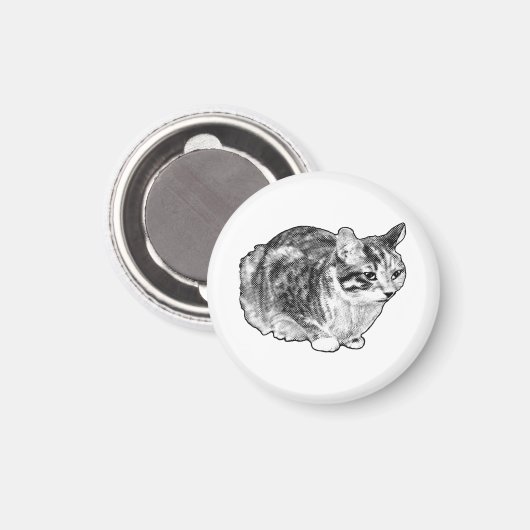 Kitchen Gallery: Tabby with Snow Dots マグネット (正面/裏面)