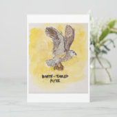 Kite Hawk Greeting Card 招待状 (スタンド正面)