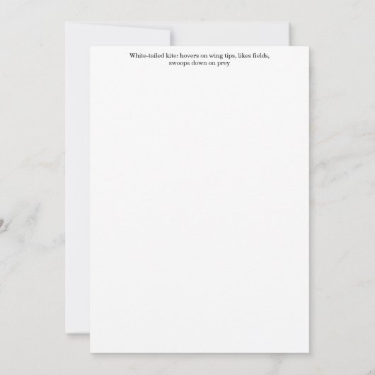 Kite Hawk Greeting Card 招待状 (裏面)