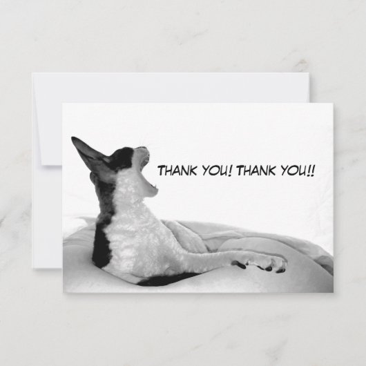 Kitsa Diva: Queen of Her doman サンキューカード (正面)