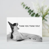 Kitsa Diva: Queen of Her doman サンキューカード (スタンド正面)