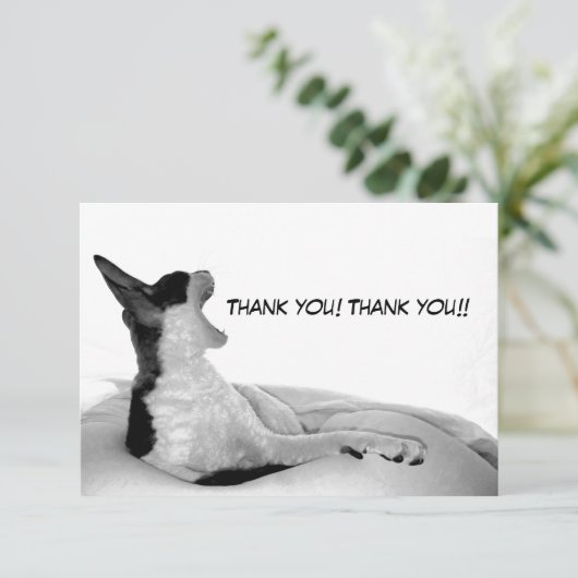 Kitsa Diva: Queen of Her doman サンキューカード (スタンド正面)