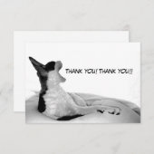 Kitsa Diva: Queen of Her doman サンキューカード (正面/裏面)