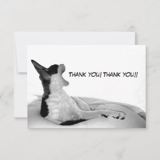 Kitsa Diva: Queen of Her doman サンキューカード