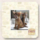 Kittehのキャロル コースター (正面)