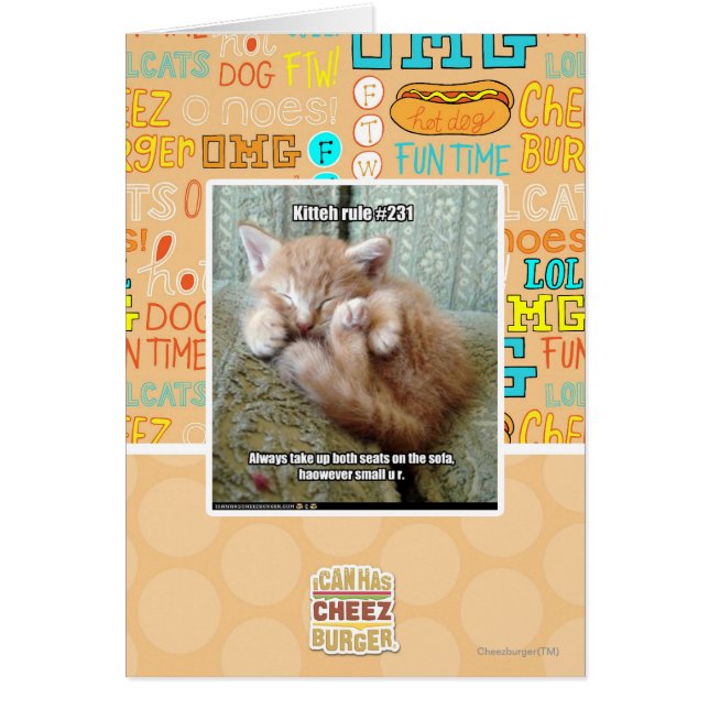 Kittehの規則#231 (正面)
