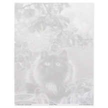 KittenとSpiderwebグレースケールのカラーリングページ