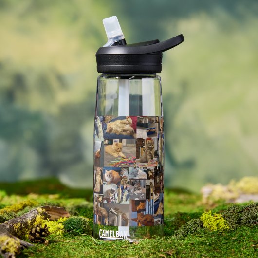 Kittenフォトコラージュ、 ウォーターボトル (アウトドア)