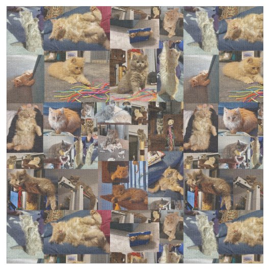 Kittenフォトコラージュ、 ファブリック (クローズアップ)