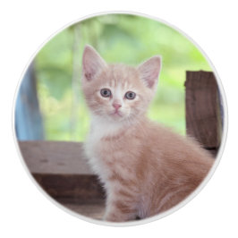 Kitten セラミックノブ