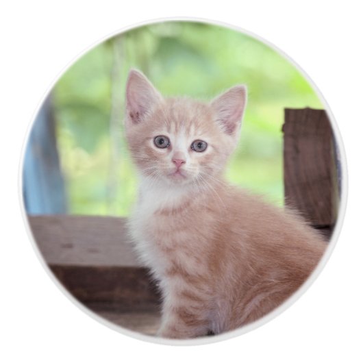 Kitten セラミックノブ (正面)