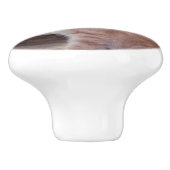 Kitten セラミックノブ (側面)