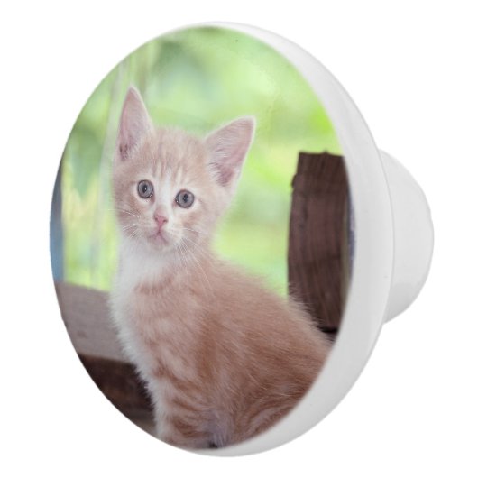 Kitten セラミックノブ (右)