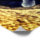 Kitten  ポスター (角)