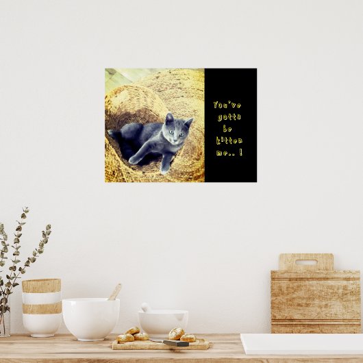 Kitten  ポスター (キッチン)