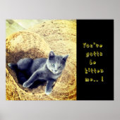 Kitten ポスター (正面)