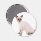 kitten マグネット (正面/裏面)