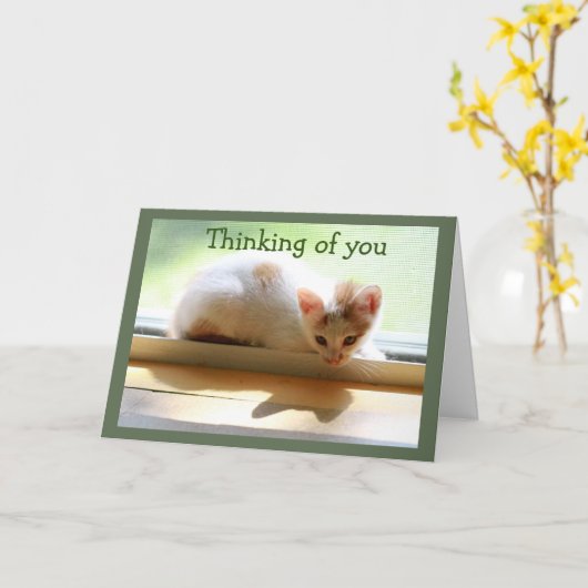 Kitten and Her shadow in Sunny Window カード (黄色い花)