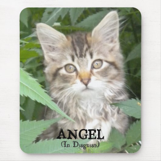 KITTEN = ANGEL （変装） マウスパッド (正面)