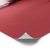 Kitten asleep in Christmas hat ポスター (角)
