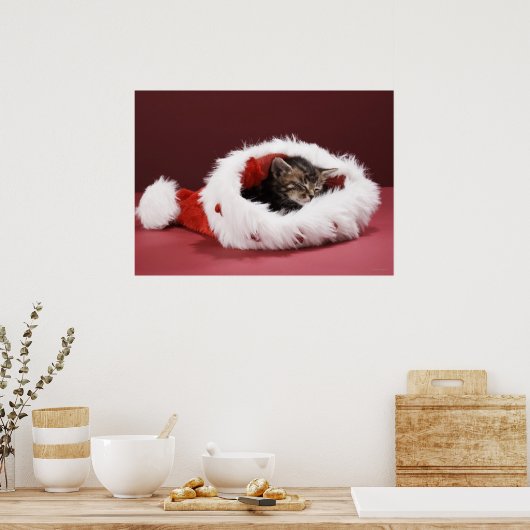 Kitten asleep in Christmas hat ポスター (キッチン)