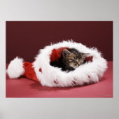 Kitten asleep in Christmas hat ポスター (正面)