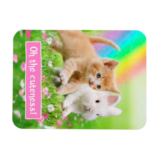 Kitten & Bunny with Rainbow マグネット (横)