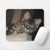 Kitten Chillinマウスパッド マウスパッド (マウス)
