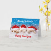 Kitten Christmas Cards BULK Christmas Cards or One カード (黄色い花)