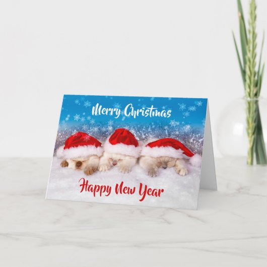 Kitten Christmas Cards BULK Christmas Cards or One カード (正面)