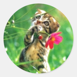 Kitten Circle Shapeスタンプ ラウンドシール