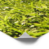 Kitten Courseポスター ポスター (角)