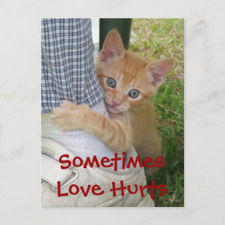 Kitten Dax Love痛いはがき ポストカード