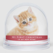 Kitten First Christmas Photo (正面)