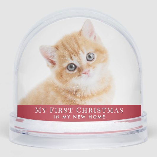 Kitten First Christmas Photo (正面)