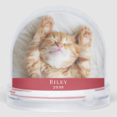 Kitten First Christmas Photo (裏面)