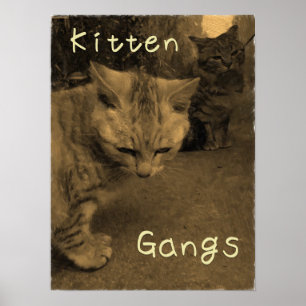 Kitten Gangs ポスター