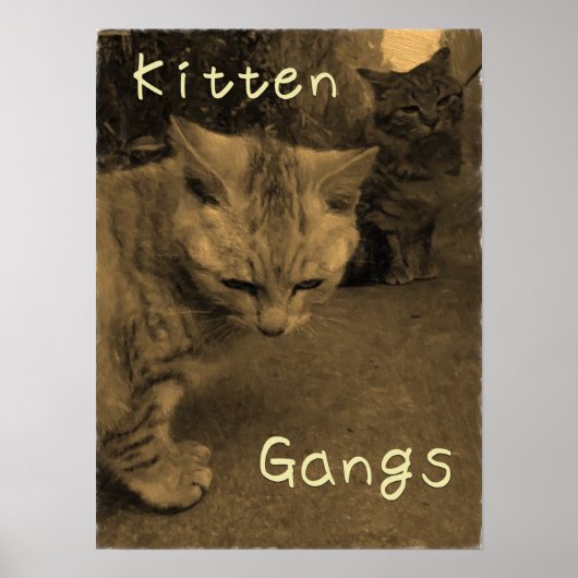 Kitten Gangs ポスター (正面)