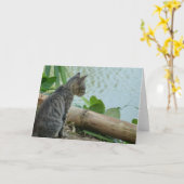 Kitten Greeting Card 空白の - カード (黄色い花)