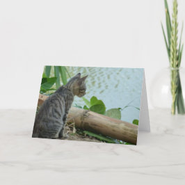 Kitten Greeting Card 空白の - カード