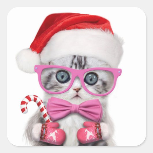 Kitten in Christmas hat スクエアシール (正面)