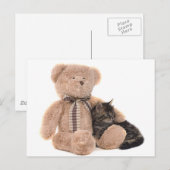 kitten in the arms of a teddy bear ポストカード (正面/裏面)