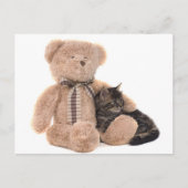 kitten in the arms of a teddy bear ポストカード (正面)