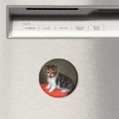 Kitten Magnet: George Stubsによるヴィンテージアート マグネット (インサイチュ (食洗機))